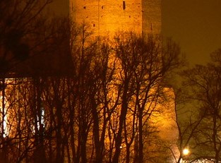 eltel realizacje